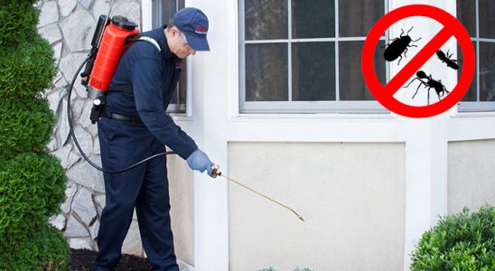 Hayrabolu Kene İlaçlama böcek ilaçlama ve haşere kontrolü — ilaclama-tr.com